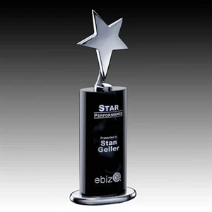 Mendocino Award