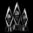 Manilow Award 3D | https://www.bestnamebadges.com