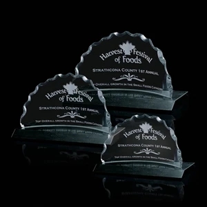Saratoga Award | https://www.bestnamebadges.com