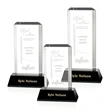 Carrier Award - Black | https://www.bestnamebadges.com