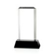 Carrier Award - Black | https://www.bestnamebadges.com