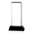 Carrier Award - Black | https://www.bestnamebadges.com