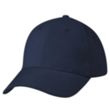 Price Buster Cap | https://www.bestnamebadges.com