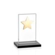Dallas Star Award - Black/Gold | https://www.bestnamebadges.com