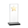 Dallas Star Award - Black/Gold | https://www.bestnamebadges.com