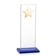 Dallas Star Award - Blue/Gold | https://www.bestnamebadges.com