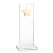 Dallas Star Award - Clear/Gold | https://www.bestnamebadges.com