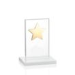 Dallas Star Award - White/Gold | https://www.bestnamebadges.com