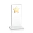 Dallas Star Award - White/Gold | https://www.bestnamebadges.com