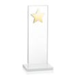 Dallas Star Award - White/Gold | https://www.bestnamebadges.com