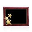 Constellation - Rosewood/Gold | https://www.bestnamebadges.com