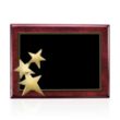 Constellation - Rosewood/Gold | https://www.bestnamebadges.com