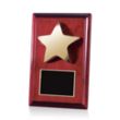 Appleby Star Plaque | https://www.bestnamebadges.com