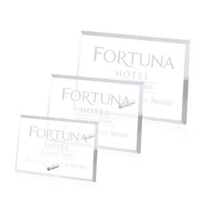 Windsor-Rectangle-Horizontal-Award-Chrome