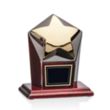 Strickland Award - Gold | https://www.bestnamebadges.com