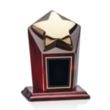 Strickland Award - Gold | https://www.bestnamebadges.com