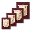 Etch/Frosted Plaq - Mahogany/Gold | https://www.bestnamebadges.com