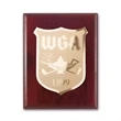 Etch/Frosted Plaq - Mahogany/Gold | https://www.bestnamebadges.com