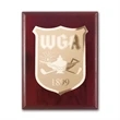 Etch/Frosted Plaq - Mahogany/Gold | https://www.bestnamebadges.com