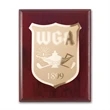 Etch/Frosted Plaq - Mahogany/Gold | https://www.bestnamebadges.com