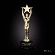Gold Star Achievement Award | https://www.bestnamebadges.com