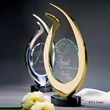 Spirit Award | https://www.bestnamebadges.com