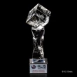 Vortex Award | https://www.bestnamebadges.com