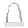 Carling Iceberg Award on Base | https://www.bestnamebadges.com