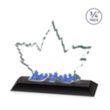 Maple Leaf VividPrint™ Award - Black | https://www.bestnamebadges.com