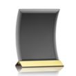 Dominga Award - Black/Gold | https://www.bestnamebadges.com