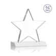 Chippendale Star Award - White | https://www.bestnamebadges.com
