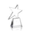 Falcon Star Award | https://www.bestnamebadges.com