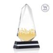 Fogacci VividPrint™ Award | https://www.bestnamebadges.com