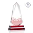 Fogacci VividPrint™ Award | https://www.bestnamebadges.com