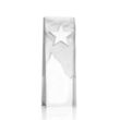 Stapleton Star Award | https://www.bestnamebadges.com