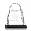 Carling Iceberg Award on Base | https://www.bestnamebadges.com