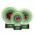 On Target Award on Green Base | https://www.bestnamebadges.com