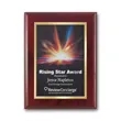 SpectraPrint™ Plaque - Mahogany Gold | https://www.bestnamebadges.com