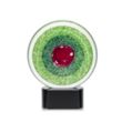 On Target Award on Black Base | https://www.bestnamebadges.com