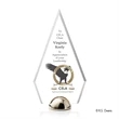 Apex Hemisphere VividPrint™ Award | https://www.bestnamebadges.com