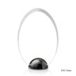 Janus Hemisphere Award - VividPrint™ | https://www.bestnamebadges.com