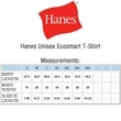 Hanes 5.5 oz Preshrunk 50:50 Polyester/ Cotton T-shirts | https://www.bestnamebadges.com