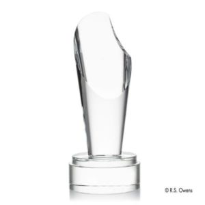 Spotlight Award | https://www.bestnamebadges.com