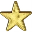 Plastic Star Shaped Pin | https://www.bestnamebadges.com