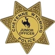 Plastic 7 Point Star Badge | https://www.bestnamebadges.com