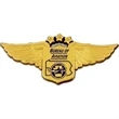 Plastic Wing Badge | https://www.bestnamebadges.com