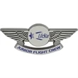 Stock Badge Wings | https://www.bestnamebadges.com