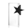 Sabatini Star Award | https://www.bestnamebadges.com