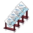 Carradine VividPrint™ Award | https://www.bestnamebadges.com