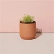 Modern Sprout® Tiny Terracotta Grow Kit Good Luck Clover | https://www.bestnamebadges.com